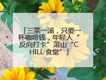 三菜一汤，只要一杯咖啡钱，年轻人“反向打卡”萧山“CHILL·食堂”
