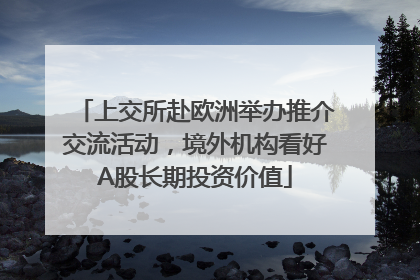 上交所赴欧洲举办推介交流活动，境外机构看好A股长期投资价值