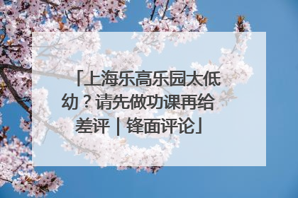 上海乐高乐园太低幼？请先做功课再给差评｜锋面评论