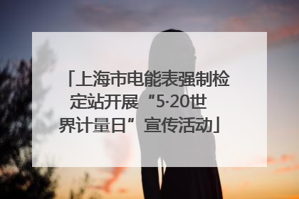 上海市电能表强制检定站开展“5·20世界计量日”宣传活动
