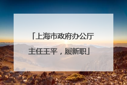 上海市政府办公厅主任王平，履新职