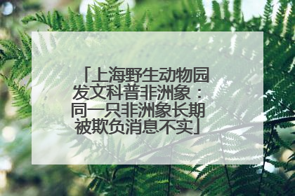 上海野生动物园发文科普非洲象：同一只非洲象长期被欺负消息不实