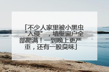 不少人家里被小黑虫“入侵”，墙壁窗户全部爬满！一到晚上更严重，还有一股臭味