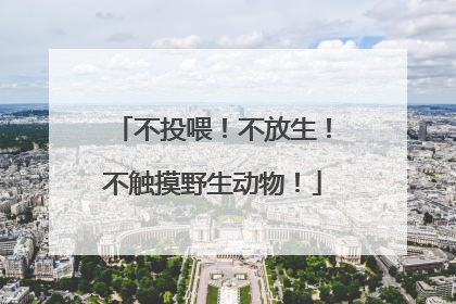 不投喂！不放生！不触摸野生动物！