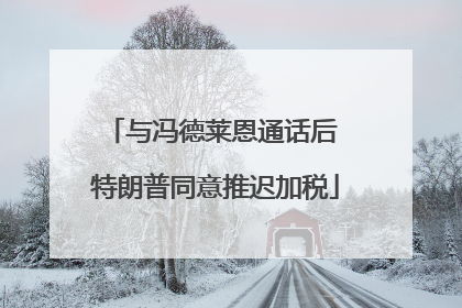 与冯德莱恩通话后 特朗普同意推迟加税