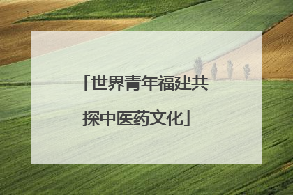 世界青年福建共探中医药文化