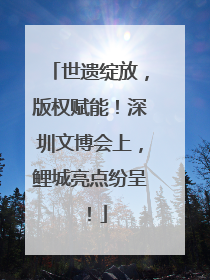 世遗绽放，版权赋能！深圳文博会上，鲤城亮点纷呈！