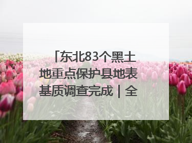 东北83个黑土地重点保护县地表基质调查完成｜全国“土地日”
