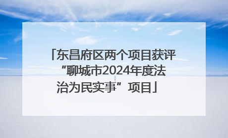 东昌府区两个项目获评“聊城市2024年度法治为民实事”项目