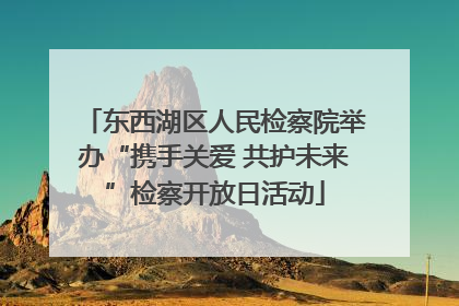 东西湖区人民检察院举办“携手关爱 共护未来”检察开放日活动