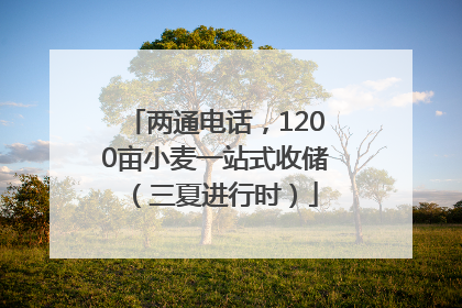 两通电话，1200亩小麦一站式收储（三夏进行时）