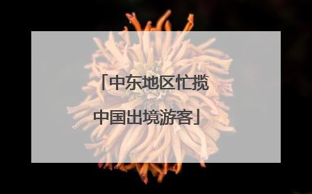 中东地区忙揽中国出境游客
