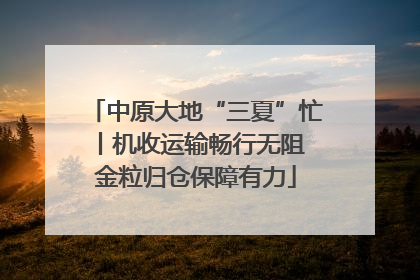 中原大地“三夏”忙丨机收运输畅行无阻 金粒归仓保障有力