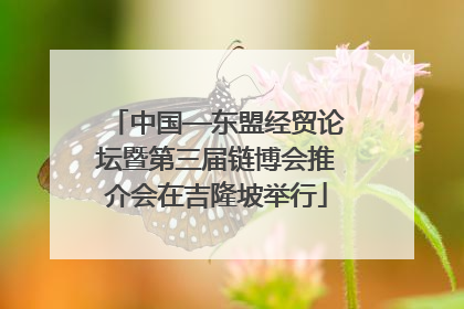 中国—东盟经贸论坛暨第三届链博会推介会在吉隆坡举行