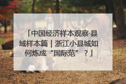 中国经济样本观察·县域样本篇｜浙江小县城如何炼成“国际范”？