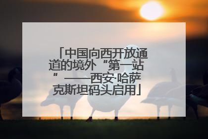 中国向西开放通道的境外“第一站”——西安·哈萨克斯坦码头启用