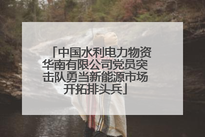 中国水利电力物资华南有限公司党员突击队勇当新能源市场开拓排头兵