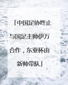 中国足协终止与国足主帅伊万合作，东亚杯由新帅带队