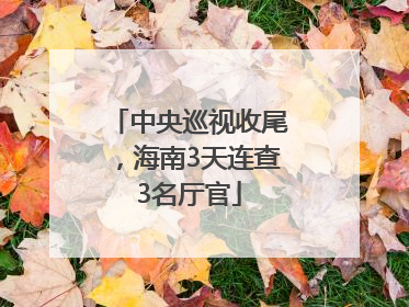 中央巡视收尾，海南3天连查3名厅官