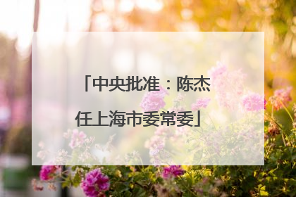 中央批准：陈杰任上海市委常委