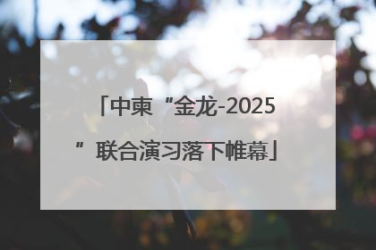 中柬“金龙-2025”联合演习落下帷幕