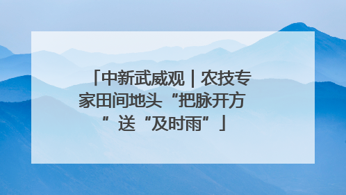 中新武威观｜农技专家田间地头“把脉开方”送“及时雨”