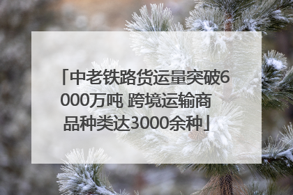 中老铁路货运量突破6000万吨 跨境运输商品种类达3000余种