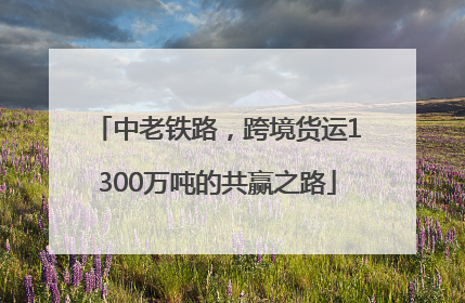 中老铁路，跨境货运1300万吨的共赢之路