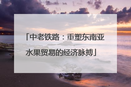 中老铁路：重塑东南亚水果贸易的经济脉搏