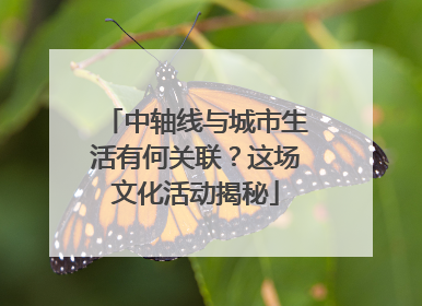 中轴线与城市生活有何关联？这场文化活动揭秘