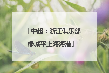 中超：浙江俱乐部绿城平上海海港