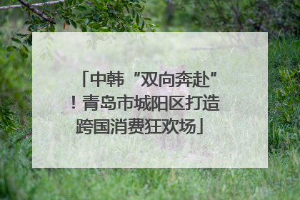 中韩“双向奔赴”！青岛市城阳区打造跨国消费狂欢场