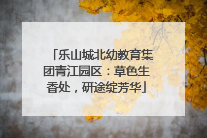 乐山城北幼教育集团青江园区：草色生香处，研途绽芳华