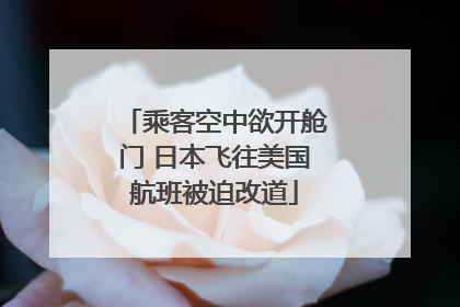 乘客空中欲开舱门 日本飞往美国航班被迫改道