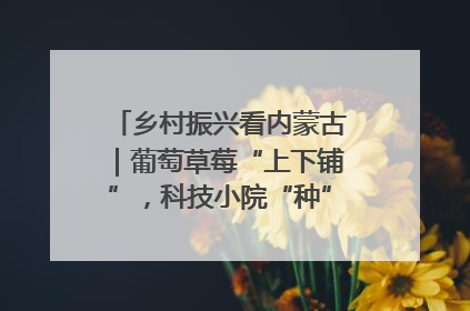 乡村振兴看内蒙古｜葡萄草莓“上下铺”，科技小院“种”出三倍效益