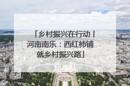 乡村振兴在行动丨河南南乐：西红柿铺就乡村振兴路