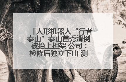 人形机器人“行者泰山”泰山首秀滑倒被抬上担架 公司：检修后独立下山 测试就是为暴露问题