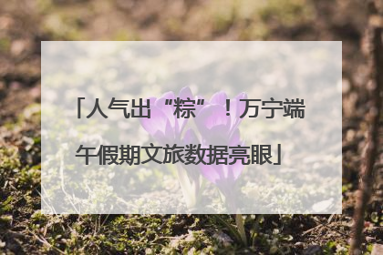 人气出“粽”！万宁端午假期文旅数据亮眼