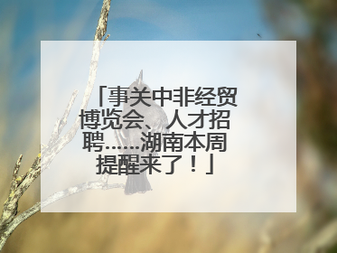 事关中非经贸博览会、人才招聘……湖南本周提醒来了！