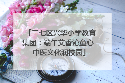 二七区兴华小学教育集团：端午艾香沁童心 中医文化润校园