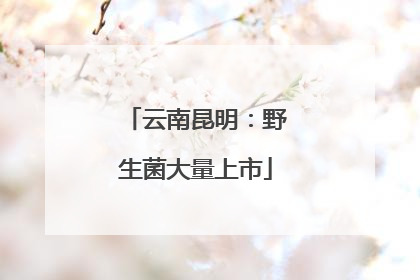 云南昆明：野生菌大量上市