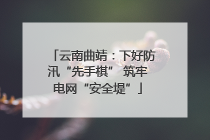云南曲靖：下好防汛“先手棋” 筑牢电网“安全堤”