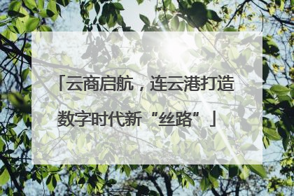 云商启航，连云港打造数字时代新“丝路”