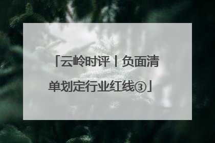 云岭时评丨负面清单划定行业红线③