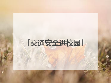 交通安全进校园