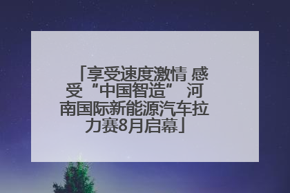 享受速度激情 感受“中国智造” 河南国际新能源汽车拉力赛8月启幕