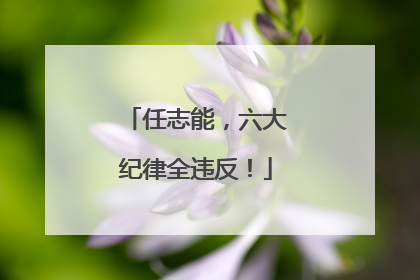 任志能，六大纪律全违反！