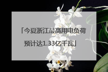 今夏浙江最高用电负荷预计达1.33亿千瓦