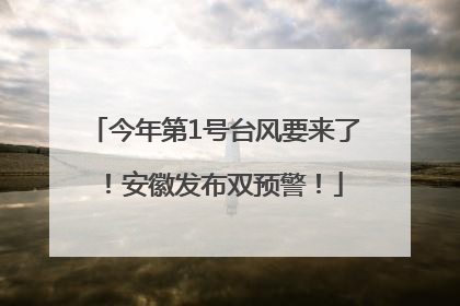 今年第1号台风要来了！安徽发布双预警！