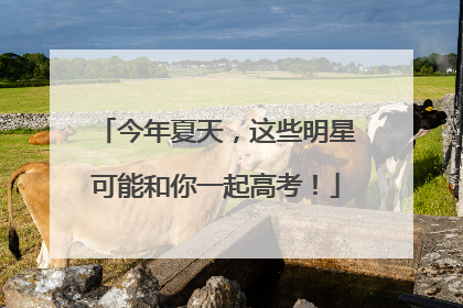 今年夏天，这些明星可能和你一起高考！